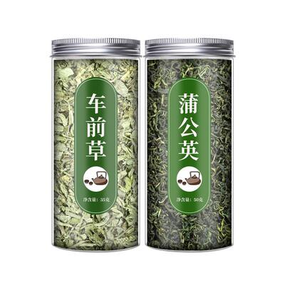 野生500g新鲜正品中药材车前草