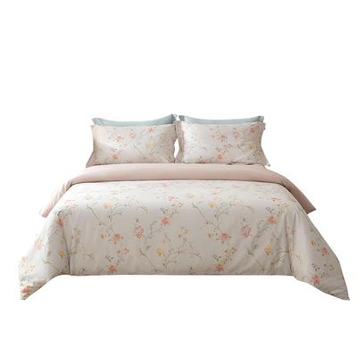 乐优家法式印花全棉四件套纯棉高支高密长绒棉高级感植物花卉床品