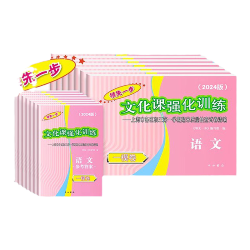 2024年版领先一步上海中