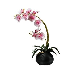 仿真蝴蝶兰花艺套装摆件新中式客厅餐桌博古架假花桌面小盆栽装饰