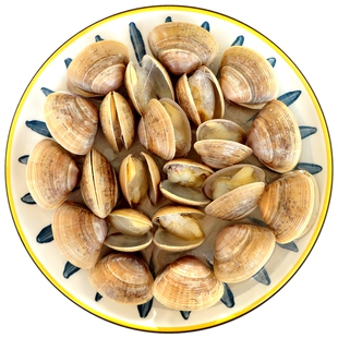 大黄蚬子东港特产春节礼品海鲜礼盒原味大船渔家6袋煲汤凉拌即食