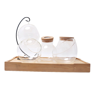 苔藓多肉植物微景观圆生态玻璃瓶子 吊瓶花盆栽DIY材料透明球容器