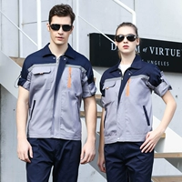 Пять династий Ся Чанг Грей Тибетские синие