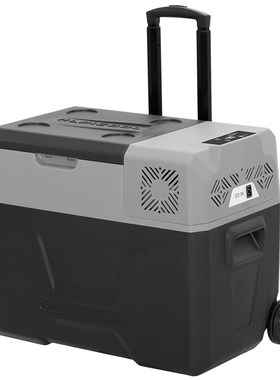 冰虎栏杆车载冰箱车家两用12V24V