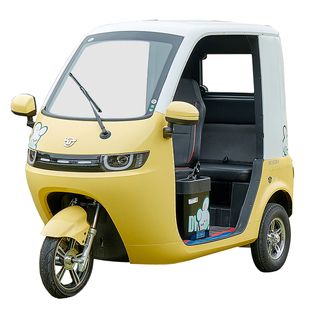 电动三轮车东威冠骑新国标可上牌半封闭家用休闲代步带棚可加雨帘