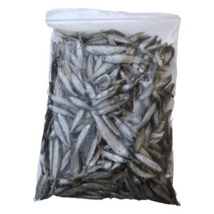 冷冻小鱼喂鱼饲料鱼单冻新鲜小白条鱼龙鱼鱼食麦穗鱼喂龟丁鱼