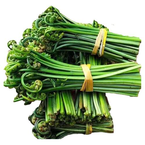 蕨菜新鲜江西水蕨菜现摘春天农家鲜厥菜苗龙爪菜猫爪菜撅菜根蔬菜