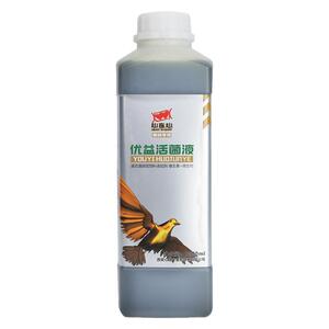 心连心鸽药肠道活菌水绿便