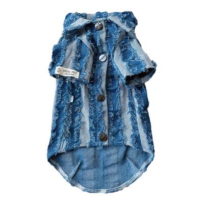 原创潮牌德文猫衣服衬衫