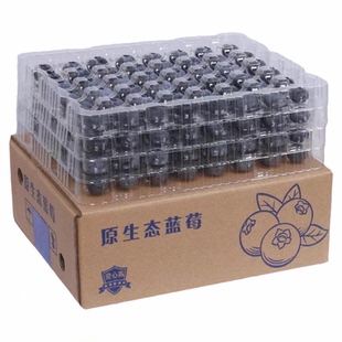 蓝莓新鲜水果露天高山蓝莓鲜果当季水果蓝莓原生态有机种植特大果