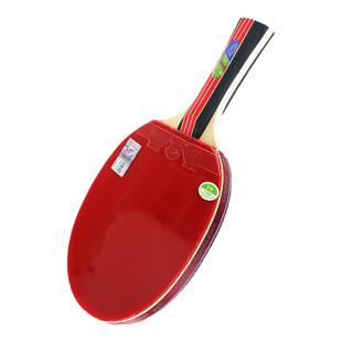 友谊729乒乓球拍小学生专用儿童初学训练金一星专业级单双拍