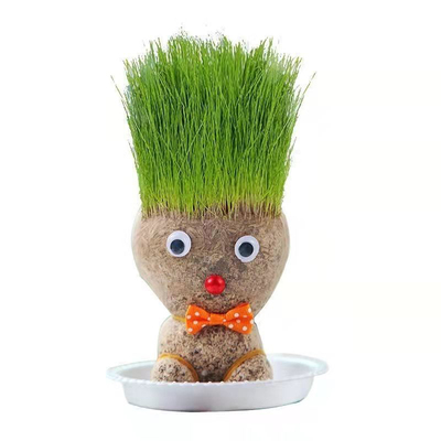 长草娃娃开花娃娃自己DIY