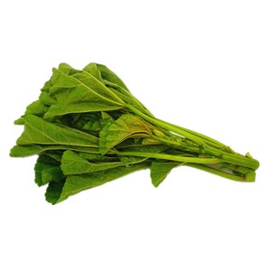 四川自种冬寒菜新鲜蔬菜东汉菜马蹄菜冬苋菜糯米菜野钙菜时令蔬菜