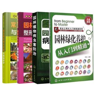 园林绿化养护从入门到精通+园林绿化树木整形与修剪+园林苗木繁育丛书 园林绿化苗木栽培与养护+园林植物病虫害防治 园林养护书籍