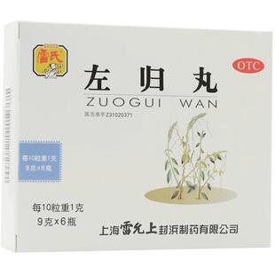 补肾阴阳两虚滋阴腰酸膝软盗汗神疲神疲口燥雷允上左归丸 正品