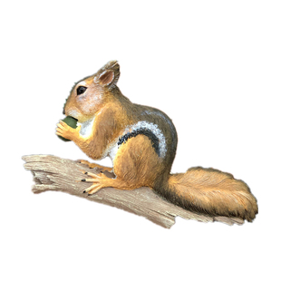 创意磁铁冰箱贴立体动物松鼠树熊冰箱贴树脂装饰磁贴磁扣留言贴