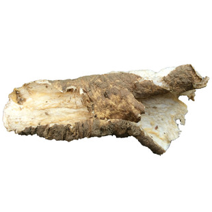 四叶参野生新鲜山海螺羊乳奶参传统产妇产后增奶水汤料乳汁少不够