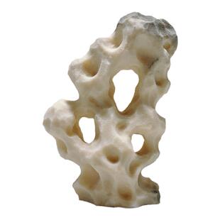 台湾吴定石上水石吸水石金钱菖蒲盆附石捕虫堇盆鱼缸造景绿植摆件