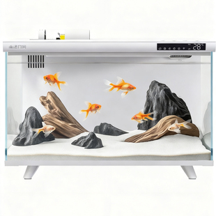 画法几何智能桌面鱼缸造景生态自循环2025新款小型客厅家用水族箱