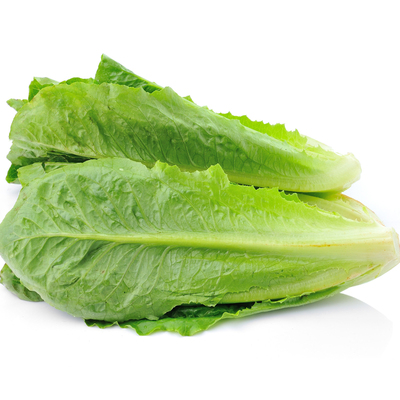 新鲜罗马生菜色拉沙拉蔬菜食材