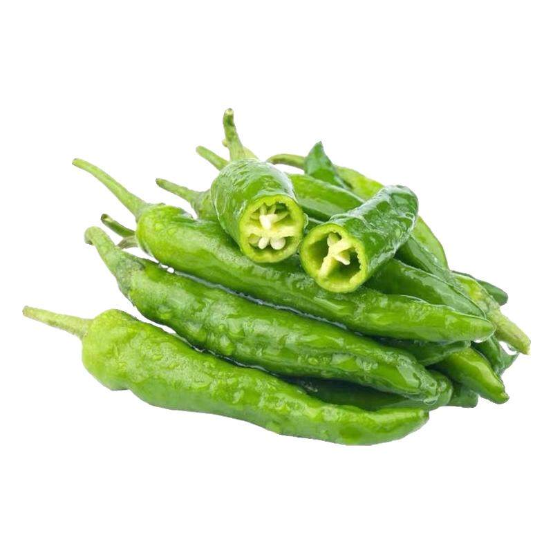 樟树港辣椒苗小米椒朝天椒秧苗全