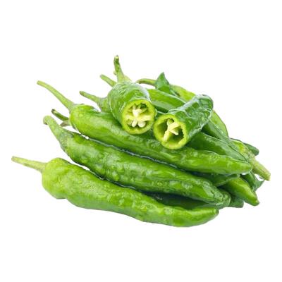 樟树港辣椒苗小米椒朝天椒秧苗全