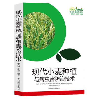 现代小麦种植与病虫害防治技术农业种植系列读物标准化生产优质品质选择播种管理施肥与创新技术冬小麦安全储存技术病虫害防治方法