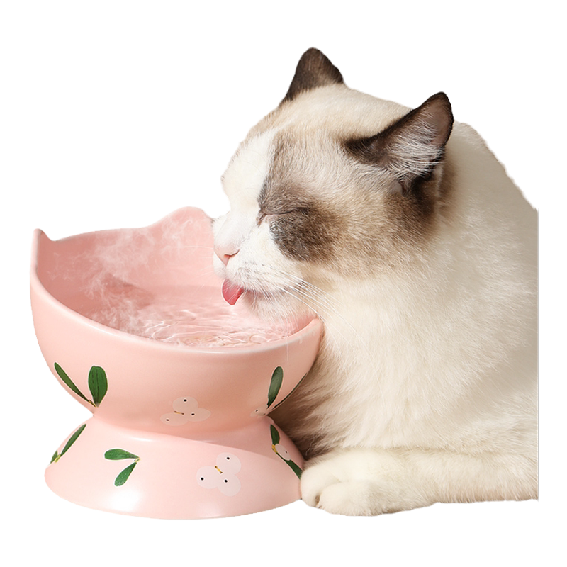 猫咪恒温饮水机宠物加热冬天
