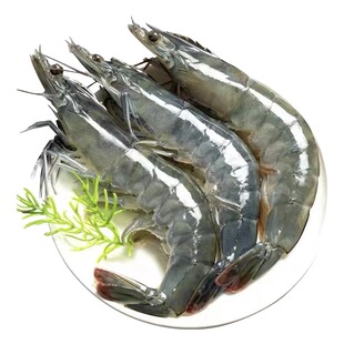 厄瓜多尔大虾鲜活速冻超特大海虾基围虾南美白对虾盐冻海虾对虾