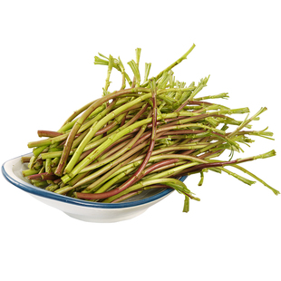 洪湖野藜蒿蓠蒿野生芦蒿菜新鲜包邮天然泥蒿湖北顺丰包邮泥蒿