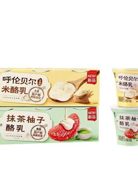 伊利畅轻酸奶新品上市100g*6杯