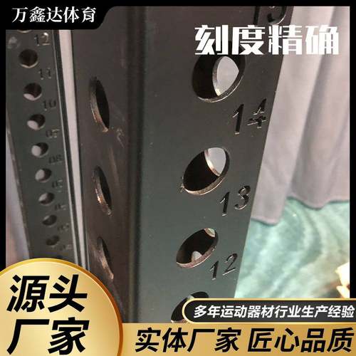终极小飞鸟训练架健身房商用力量训练架家用小飞鸟多功能训练器
