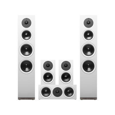 惠威Dynamic160家庭影院5.1声道音箱客厅影院环绕中置音响低音炮