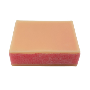 成人1：1头颅骨解剖标本 医学仿真人体头骨模型 可拆卸彩色骷髅头