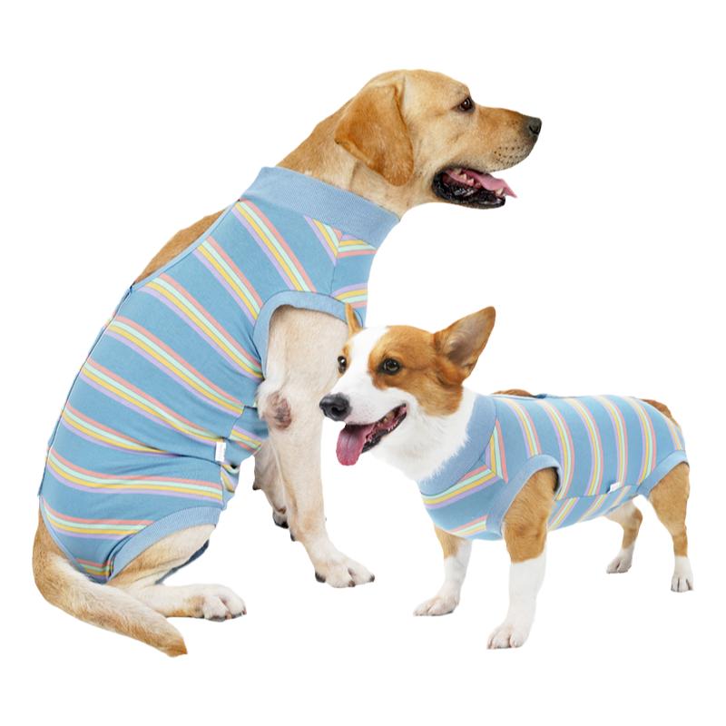 狗狗术后服莫代尔生理服防止舔舐