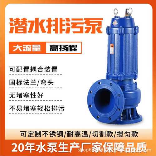 边立式排污泵WQ污水泵高扬程潜污泵5.5KW2寸灌溉农用工业用污水泵