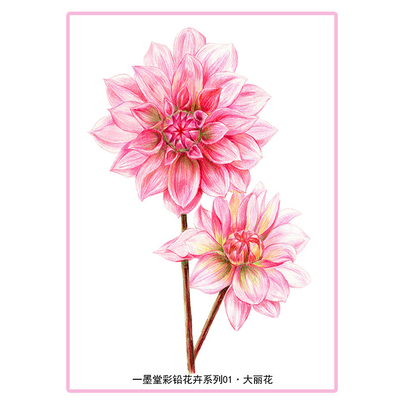 独家原创彩铅花卉带步骤图美术卡