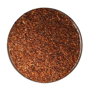 党参种子出售2025年新品甘肃白条党潞党文党当参种籽包邮指导种植