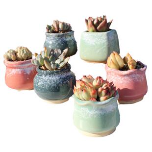 多肉植物花盆简约创意肉肉盆陶窑变瓷花盆小清新拇指盆粗陶迷你盆