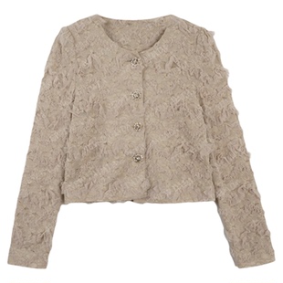 利达 NEW DADADA【奶油蕾丝小香】女士高端大气上档次时尚雪纺衫