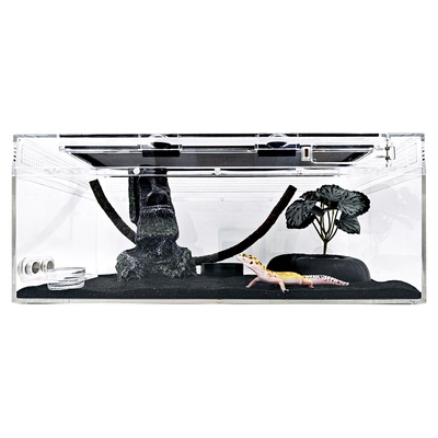 爬宠豹纹守宫饲养箱造景鬃狮蜥蜴