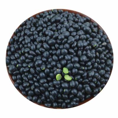 东北新黑豆绿心农家自产非转基因黑豆绿色食用粗粮五谷杂粮豆