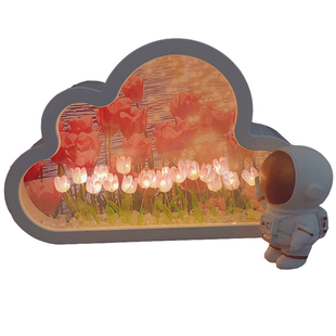 郁金香小夜灯生日礼物手工diy材料包同学圣诞节新年花海镜子云朵