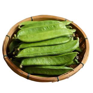新鲜刀豆5斤包邮江西农家自种 时令蔬菜刀豆剁椒原料 刀把豆包邮