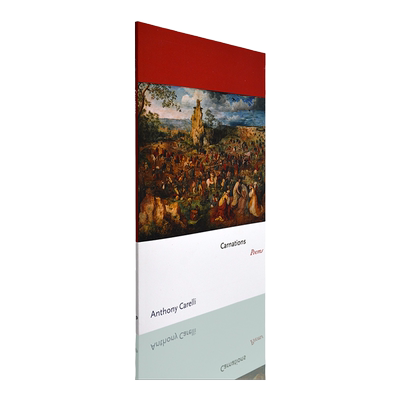 Carnations康乃馨：诗歌