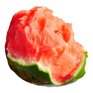 2k西瓜苗早熟阳台盆栽南方苗秧嫁接甘美4k种子迷你小西瓜种籽孑