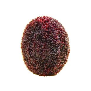 有机杨梅干仙居东魁杨梅鲜果烘干0色素0香精0防腐剂果脯孕妇零食