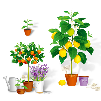 植物盆栽墙贴纸花盆贴纸