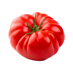 马蹄番茄种子潮汕老品种大西红柿种籽水果特大番茄四季蔬菜种苗孑