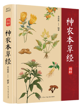 神农本草经精装全彩图解正版原版原著 彩图精装版全彩珍藏版 中医古籍药学典藏实用黄帝内经千金方养生全书 日常食疗中医养生书籍